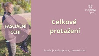 Zbav se bolesti cvičením skvělého fasciálního cchi  CELKOVÉ PROTAŽENÍ [upl. by Bolan]