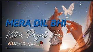 Mera Dil Bhi Kitna Pagal Hai [upl. by Copp]