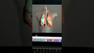 Normal Lung Sounds Vs Crackles  Fine Crackels  Coarse Crackles  Within 2 minutes [upl. by Nilyarg46]