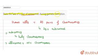 State the fate of a pair of autosomes during gamete formation [upl. by Saundra]