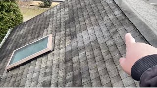 How to remove moss amp algae from your roof amp extend the life of your shingles HDX bleach sprayer [upl. by Blanchette]