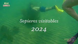 Visita les sepieres visitables aquest estiu 2024 [upl. by Batsheva]