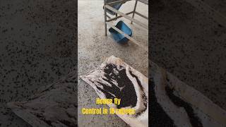 How we can control house fly and mosquito at dairy farm cow mosquitocontrol viral youtubeshorts [upl. by Nyvrem]