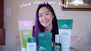 new cica skincare 🌱 ft vt cosmetics [upl. by Manson]