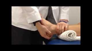 Anterior Drawer Test of Ankle [upl. by Aarika]