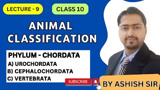 Understanding Phylum Chordata Urochordata Cephalochordata and Vertebrata  Class 10 Hindi [upl. by Nannerb]