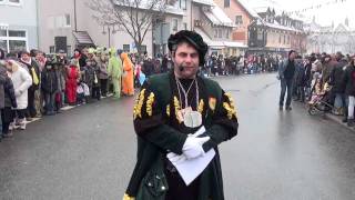 ALDINGEN NF UMZUG 2012wmv [upl. by Viviana254]