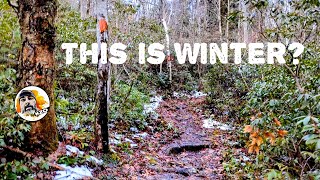 Windy Wet Winter  Swampy Hiking at Pinchot State Forest [upl. by Garber]