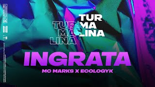 Mc Marks x Ecologyk  Ingrata Visualizer by jinkuang [upl. by Esir467]