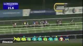 Race 8  Jebel Hatta Sponsored By Emirates Airline [upl. by Virgil]