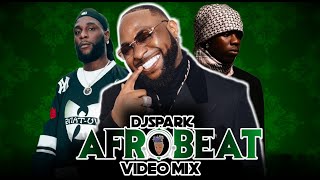 2024 BEST OF THE BEST NAIJA AFROBEAT VIDEO MIX BY DJ SPARK FT DAVIDOASAKEOLAMIDEWIZKIDSHALLIPOPI [upl. by Poppo143]