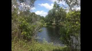 Alafia River State Park [upl. by Drareg]