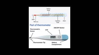 Parts of Thermometer shorts [upl. by Batchelor778]