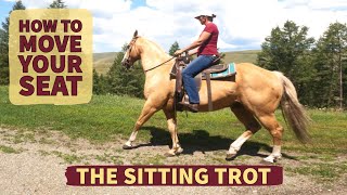 THE SITTING TROTHOW TO MOVE YOUR SEAT [upl. by Sobel]