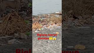 Biglang mayrun gumalaw🤔😱 viralvideo trinting funny doglover shortvideo trindeg dogowner [upl. by Kurth]