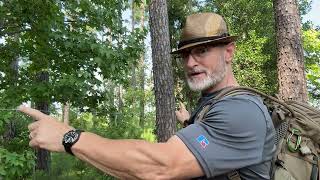 Onewind Tarp Ridgeline Set Up in the Woods [upl. by Halfdan]