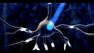 Optogenetics pioneer Ed Boyden observes neuron behavior with light [upl. by Kayla]