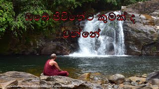 ඹබේ ජීවිතේට කුමක් ද  වන්නේ sasaranewathuma [upl. by Kurman]