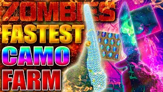 How To ACTUALLY Farm MASTERY Camos In 30 Minutes BO6 Zombies Camo Farm [upl. by Karry538]