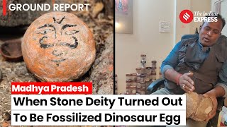 Madhya Pradesh When scientists found out that stone deity is a fossilized Dinosaur egg [upl. by Vernita]