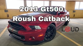 2013 Gt500 quotRoush Catbackquot Exhaust [upl. by Reffotsirk]