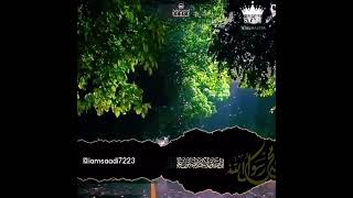 Qari Noreen Muhammad Siddique Beautiful Quran Recitation shorts [upl. by Halley]