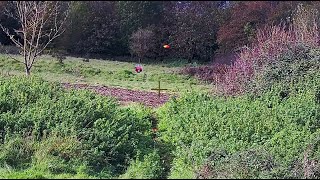 Clays Away Colerne 29th October 2023 Yildiz side by side Wildfowler Shotkam Clay pigeon shooting [upl. by Loreen675]