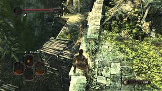 Dark Souls 2 Forest of Giants Trick Jump [upl. by Epifano816]