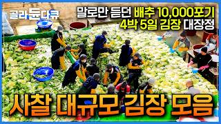 🥬드디어 사찰 김장의 서막이 올랐다🥬｜매년 45톤 분량의 배추 10000포기 1년 중 가장 큰 행사라는 사찰 김장하는 날｜대규모 김장 광경에 놀란 외국인｜한국기행｜골라듄다큐 [upl. by Ainnet]