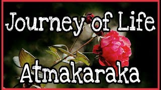 Atmakaraka  Explore your Potential and Challenges through Astrology [upl. by Anaeda]