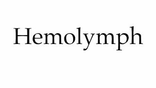 How to Pronounce Hemolymph [upl. by Yllier]