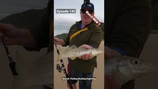 Surf Fishing for Massive Whiting on Kgari  Fraser Island 🎣💥  Subscribe for More [upl. by Annaerdna977]