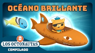 Los Octonautas  ✨ Océano brillante 🌎  Episodios Completos  Compilado [upl. by Cami]