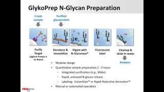 Workflow Solutions for HighSpeed Glycan Analysis [upl. by Sotos]