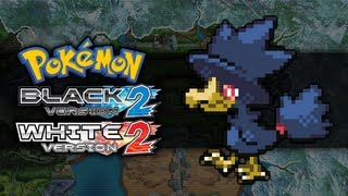 Pokemon Black 2 and White 2  How To Get Murkrow [upl. by Reckford]