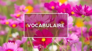 La polysémie Vocabulaire CE2 3AEP [upl. by Ennaecarg]