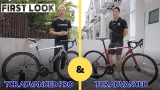 First Look at All New 2025 Giant TCR Advanced and Advanced Pro  10th Generation [upl. by Atinad]