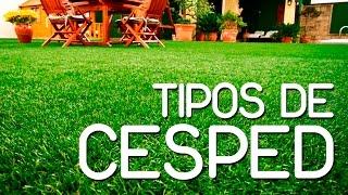 Aprende como cultivar cesped [upl. by Pastelki]