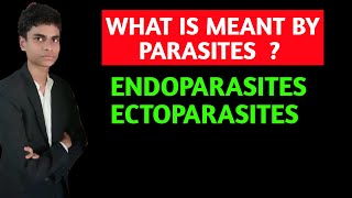 What is meant by parasite  What is ectoparasites and endoparasites  All concepts explained [upl. by Mannos]