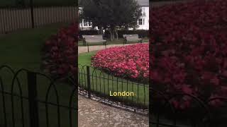 Southend sea in London very beautiful garden by the seaside today weather was cold so I was cussing [upl. by Nodnal]