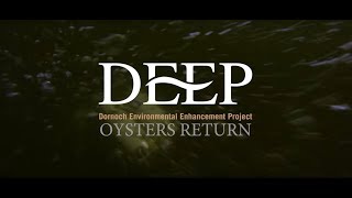 The Glenmorangie DEEP initiative  Oysters return [upl. by Sivaj]