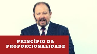 Princípio da Proporcionalidade [upl. by Orms586]