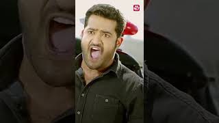 Ee Angle Entraa  Temper  Telugu Movie  NTR  kajal Agarwal  Prakash Raj  Sun NXT Telugu [upl. by Llirpa797]