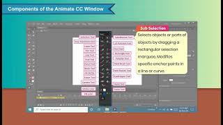 Components of the Animate CC WindowICh 06Touchpad Prime v21IClass 06 [upl. by Hall42]