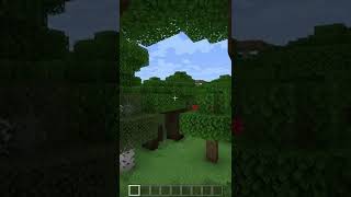 How to get spectator mode  Minecraft Bedrock shorts [upl. by Anelis375]