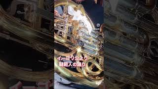 イーゴリ公より韃靼人の踊り 吹奏楽 オーケストラ ホルン horn orchestra Polovtsian Dances [upl. by Eellek767]