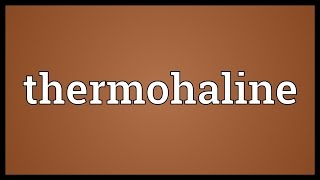 Thermohaline Meaning [upl. by Anhavas]