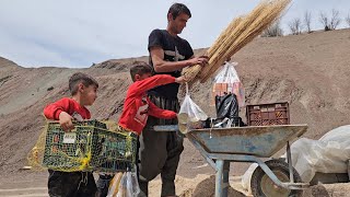 rural life  Babak goes to Garmsir after planting a tree [upl. by Oicaroh]