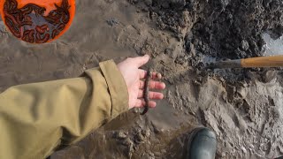 Digging lugworm for cod fishing [upl. by Ruthann264]