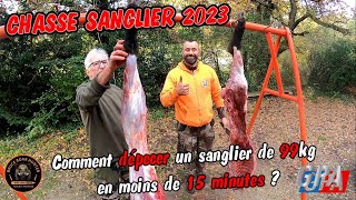 CHASSE SANGLIER 2023  Comment dépecer un gros sanglier [upl. by Jesus513]